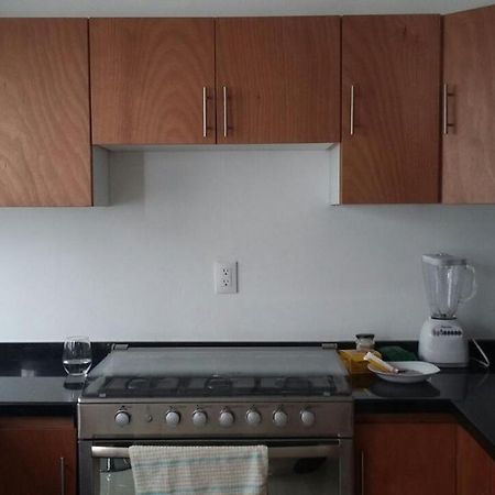 Casa Mariel Hotel San Luis Potosí Eksteriør billede