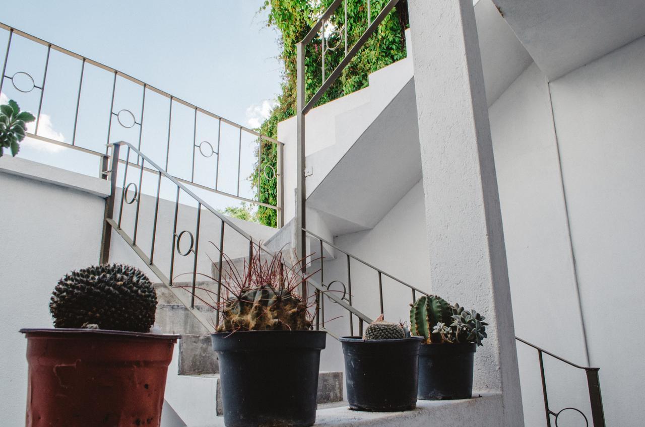 Casa Mariel Hotel San Luis Potosí Eksteriør billede